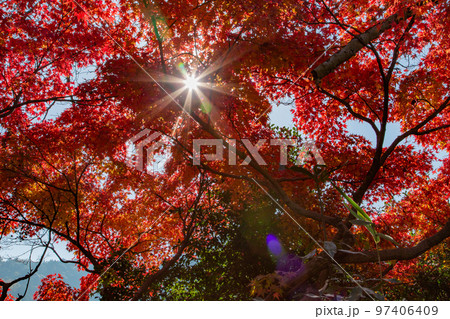 こんぴらさんの紅葉　裏参道の紅葉が美しい 97406409