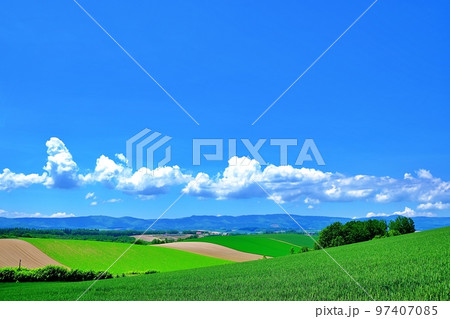 夏の北海道 爽やかな美瑛の風景 夏の北海道 爽やかな美瑛の風景 97407085