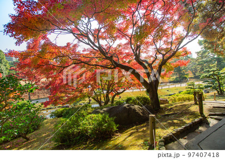 栗林公園 秋の紅葉が最高 栗林公園 秋の紅葉が最高 97407418