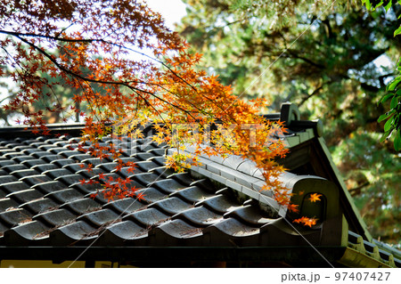 栗林公園　秋の紅葉が最高 97407427