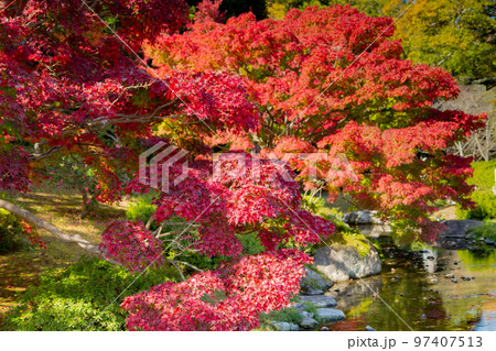 栗林公園 秋の紅葉が最高 栗林公園 秋の紅葉が最高 97407513