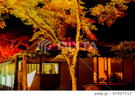 栗林公園 秋のライトアップ紅葉が最高 栗林公園 秋のライトアップ紅葉が最高 97407517