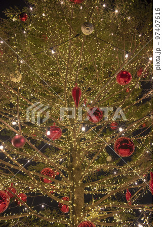クリスマスマーケットin横浜赤レンガ倉庫2019 クリスマスツリー 97407616