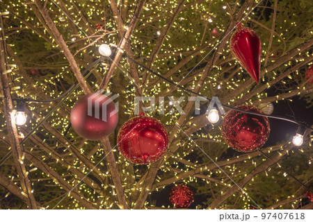 クリスマスマーケットin横浜赤レンガ倉庫2019 クリスマスツリー 97407618