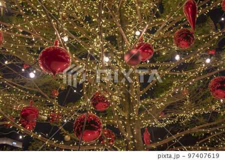 クリスマスマーケットin横浜赤レンガ倉庫2019 クリスマスツリー クリスマスマーケットin横浜赤レンガ倉庫2019 クリスマスツリー 97407619