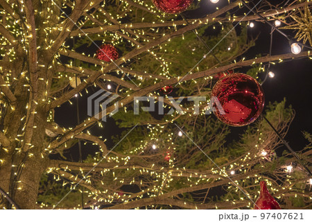 クリスマスマーケットin横浜赤レンガ倉庫2019 クリスマスツリー クリスマスマーケットin横浜赤レンガ倉庫2019 クリスマスツリー 97407621