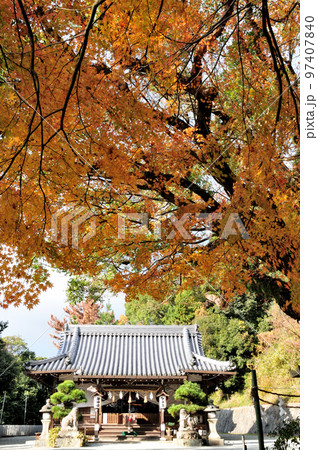 玉祖神社 【大阪府八尾市】 玉祖神社 【大阪府八尾市】 97407840