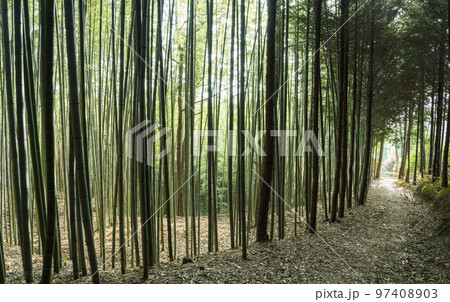 自然 風景 公園 97408903