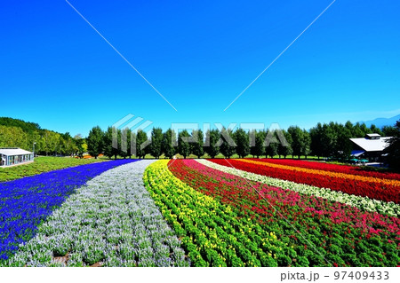 北海道 ファーム富田の絶景　(北海道中富良野町) 97409433