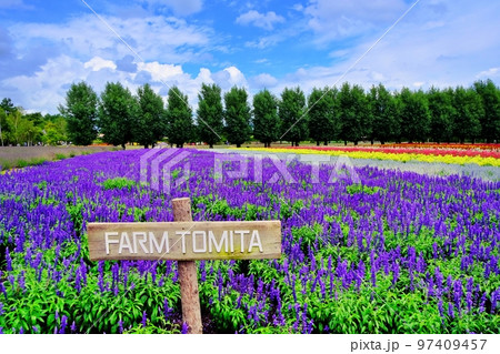 北海道 ファーム富田の絶景　(北海道中富良野町) 97409457