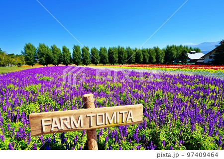北海道 ファーム富田の絶景　(北海道中富良野町) 97409464