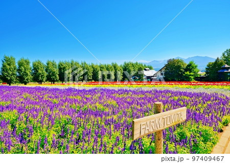 北海道 ファーム富田の絶景　(北海道中富良野町) 97409467
