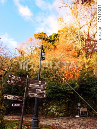 日本一の早咲きの梅が有名な恩賜熱海梅園の紅葉 日本一の早咲きの梅が有名な恩賜熱海梅園の紅葉 97410055