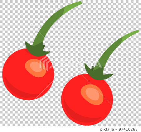 棕色耳bul的果實 棕色耳bul的果實 97410265