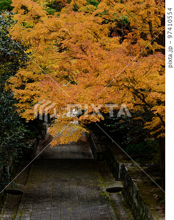 雲興寺の紅葉 雲興寺の紅葉 97410554
