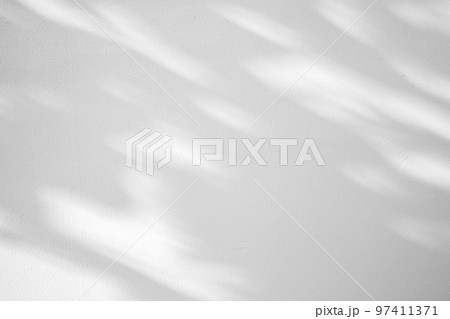 Abstract natural tree leaves shadow on white wall background 97411371