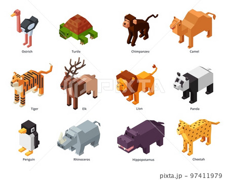 Isometric zoo animals. Low poly panda, penguin toy and tiger. Herbivores and predatory wild animal 3D cartoon vector set Isometric zoo animals. Low poly panda, penguin toy and tiger. Herbivores and predatory wild animal 3D cartoon vector set 97411979