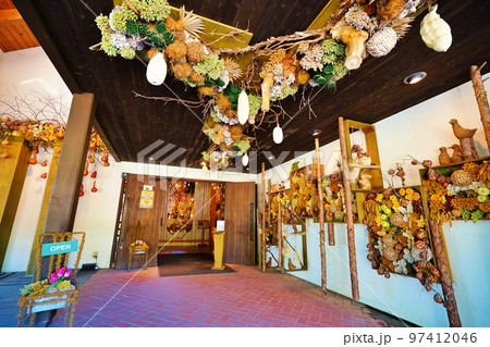 ファーム富田 ドライフラワーの舎　(北海道中富良野町) 97412046