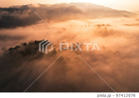 Sunrise in the forest,Aerial view of thick morning fog Sunrise in the forest,Aerial view of thick morning fog 97412076