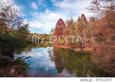 《愛知県》尾張旭市 秋の愛知県森林公園 《愛知県》尾張旭市 秋の愛知県森林公園 97412077