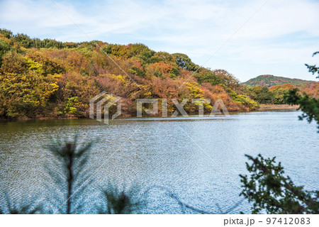 《愛知県》尾張旭市　秋の愛知県森林公園 97412083