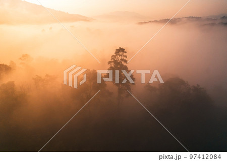 Sunrise in the forest,Aerial view of thick morning fog 97412084