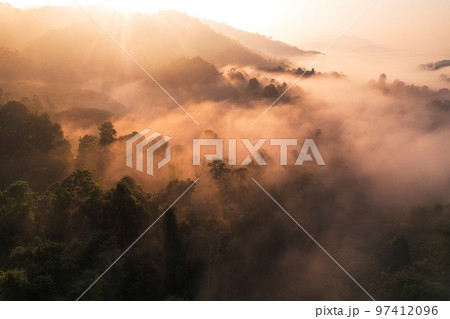 Sunrise in the forest,Aerial view of thick morning fog 97412096