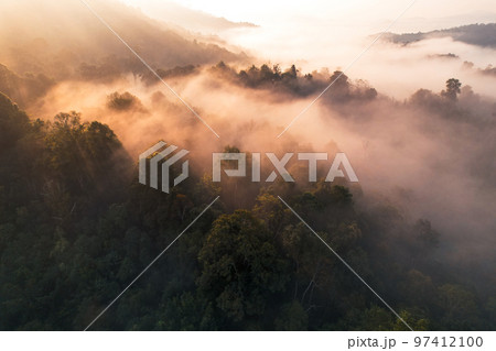 Sunrise in the forest,Aerial view of thick morning fog 97412100