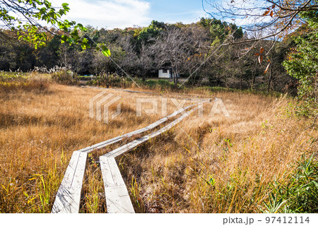 《愛知県》尾張旭市　秋の愛知県森林公園 97412114