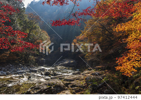 秋の奥津渓谷 97412444