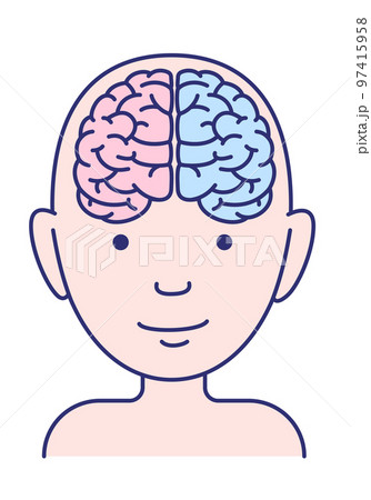 人の脳シンプル イラスト 人の脳シンプル イラスト 97415958
