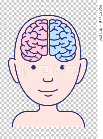 人の脳シンプル イラスト 人の脳シンプル イラスト 97415958