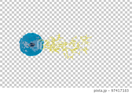 抗体を産生する形質細胞のイメージ 97417183