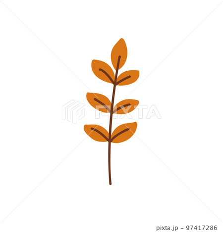 Autumn leaves. Foliage leaf silhouette. Forest vector illustration. 97417286