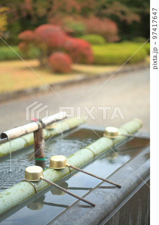 武蔵野陵の紅葉 97417647