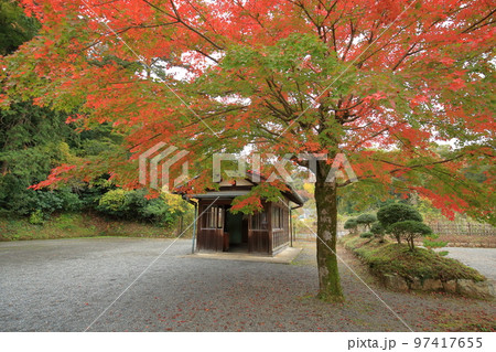 武蔵野陵の紅葉 武蔵野陵の紅葉 97417655