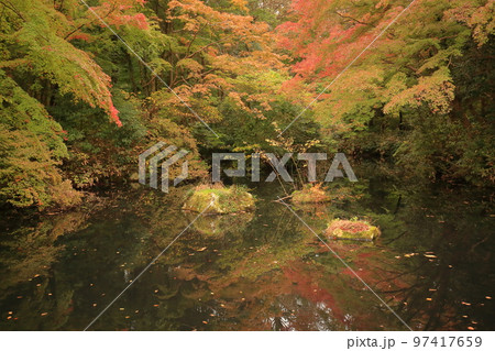 武蔵野陵の紅葉 97417659