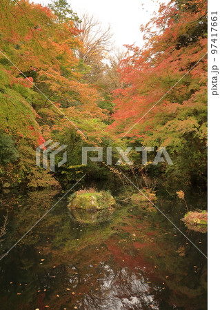 武蔵野陵の紅葉 武蔵野陵の紅葉 97417661