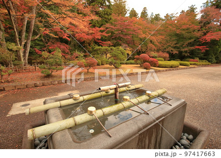 武蔵野陵の紅葉 97417663