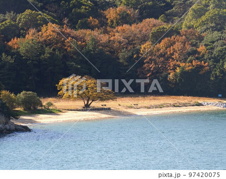 ナカンダ浜遺跡【香川県坂出市沙弥島】2 ナカンダ浜遺跡【香川県坂出市沙弥島】2 97420075