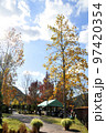 紅葉の木立 97420354