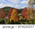 イギリス庭園の秋 97420357