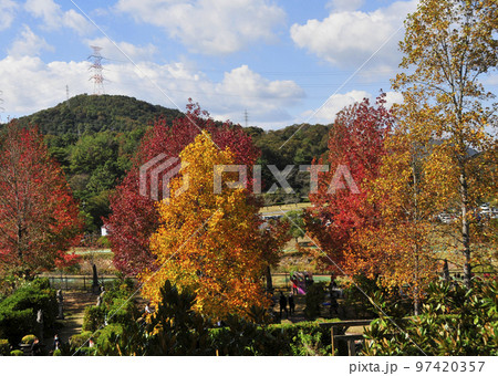 イギリス庭園の秋 97420357