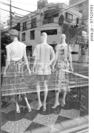 ウィンドウ越しのシルエット ウィンドウ越しのシルエット 97420493