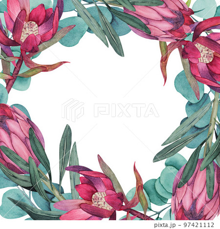 絵画 額縁付 プロテア protea Protea - Canvas Prints & Wall Art | iCanvas