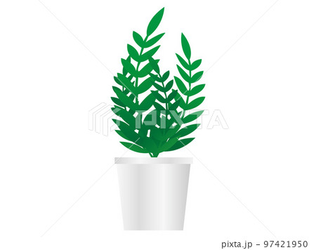 観葉植物 97421950