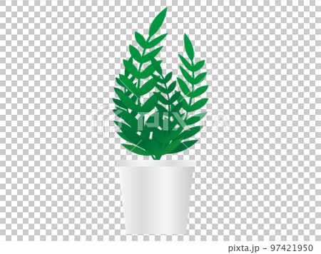 観葉植物 97421950