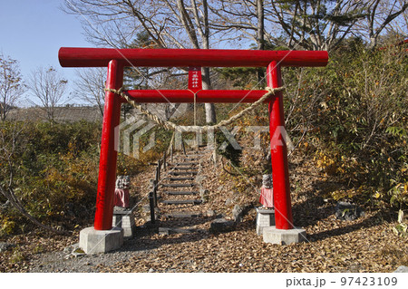 玉川薬師神社 玉川薬師神社 97423109