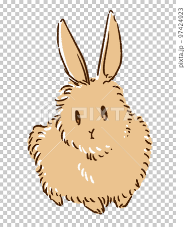 毛茸茸的兔子 97424923