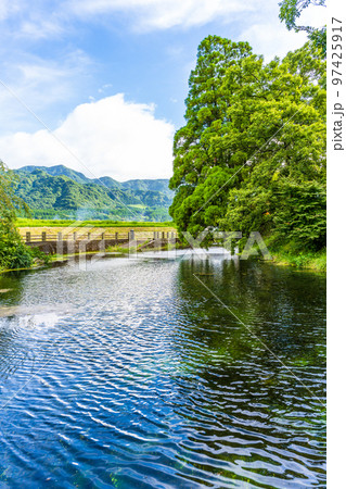 美しい南阿蘇村にある水源風景(小池水源)観光名所：名水百選の小池水源 97425917